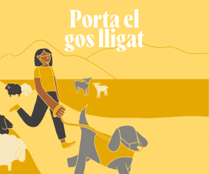 Publicitat